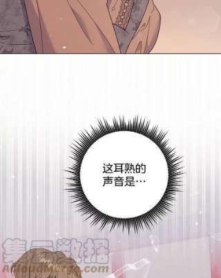 137.jpg
