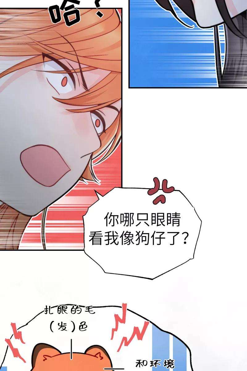 60.jpg