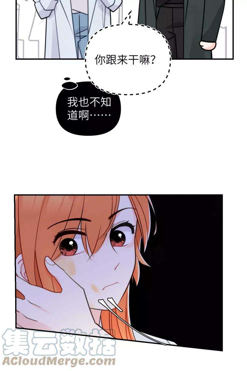 43.jpg