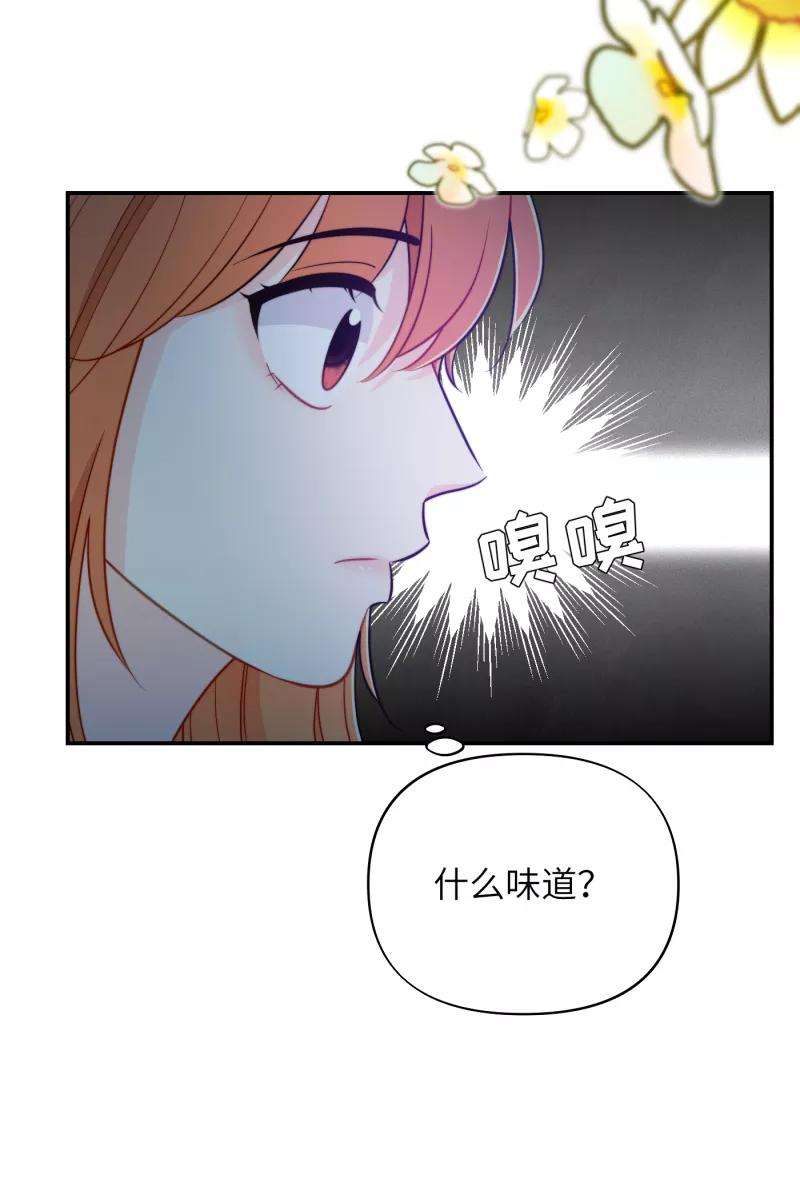48.jpg