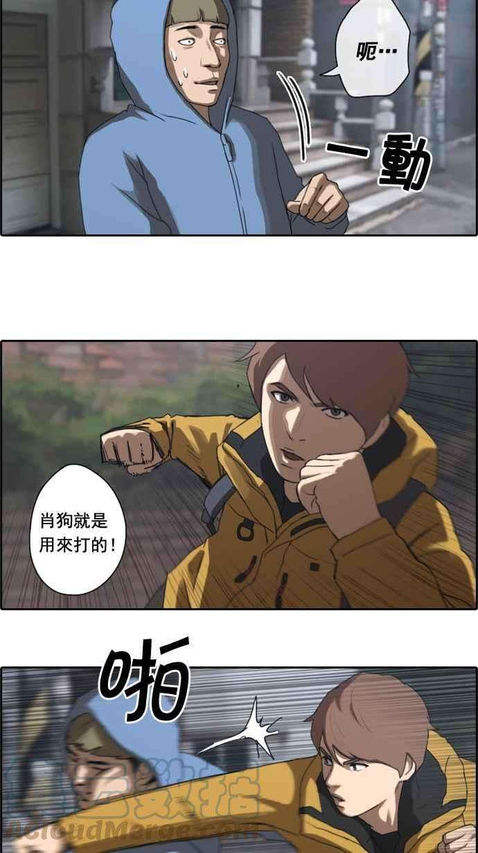 19.jpg