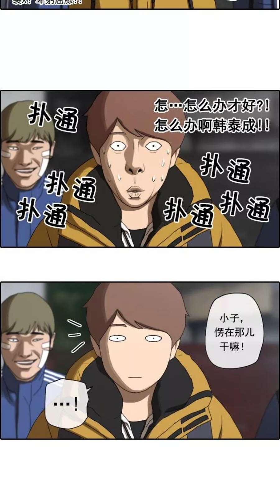 26.jpg