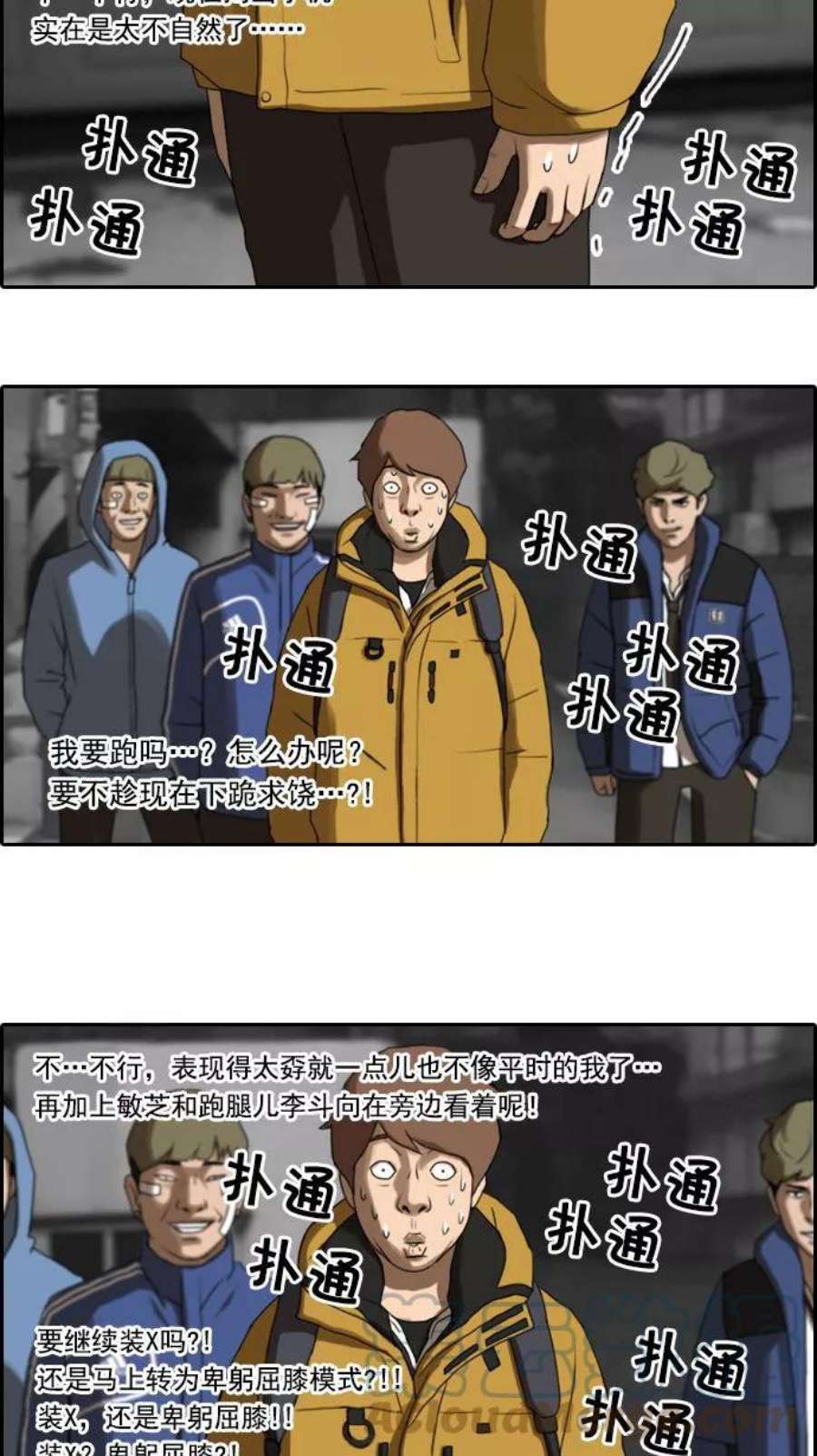 25.jpg