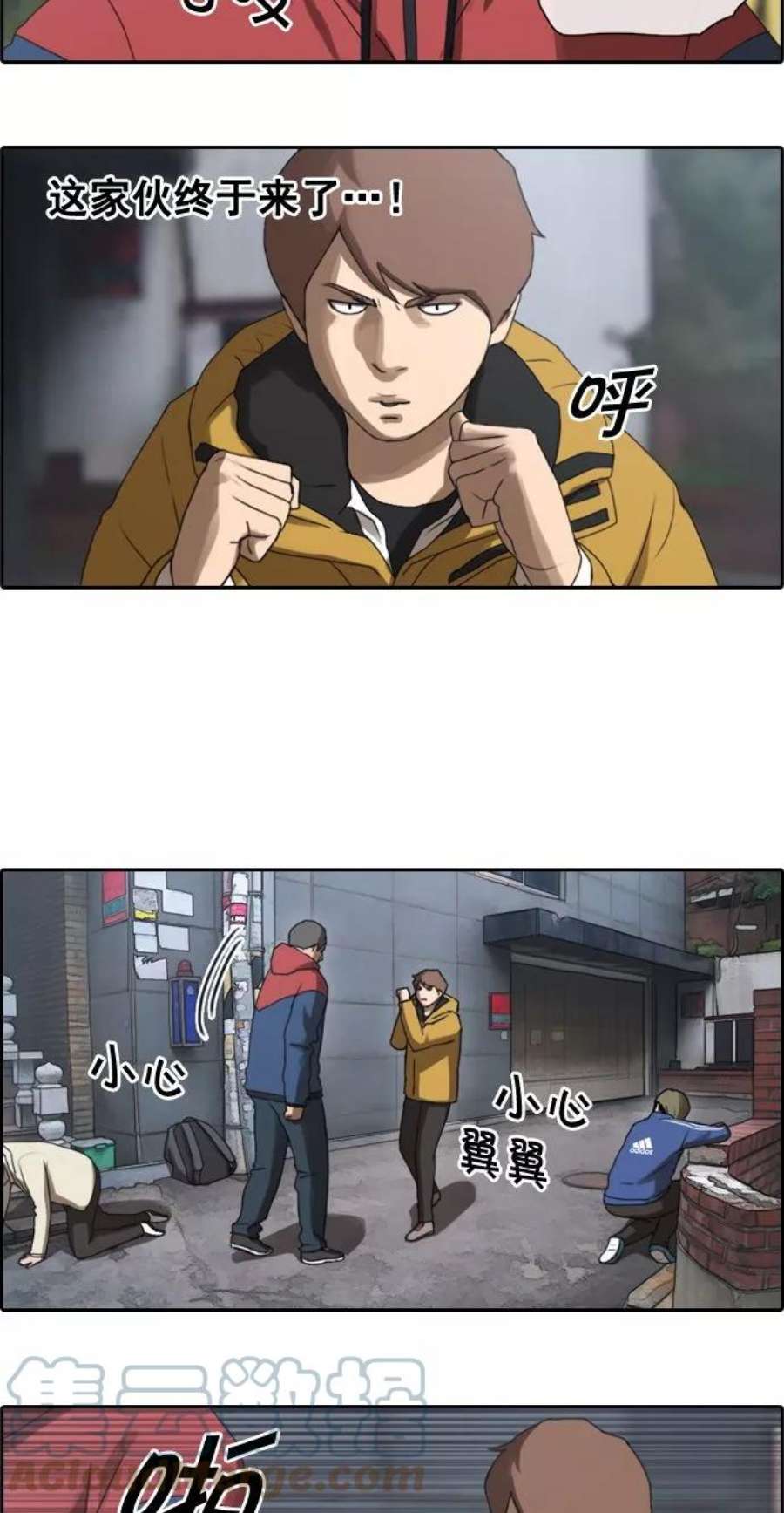 29.jpg