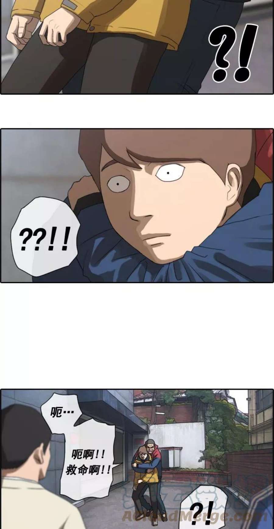 35.jpg