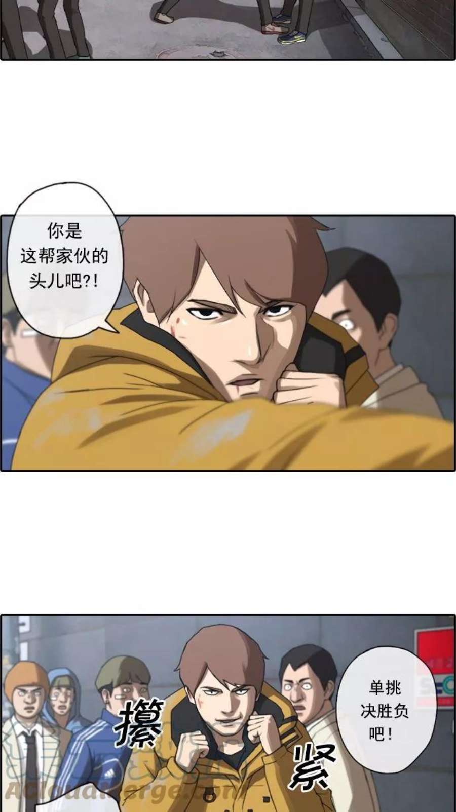 15.jpg