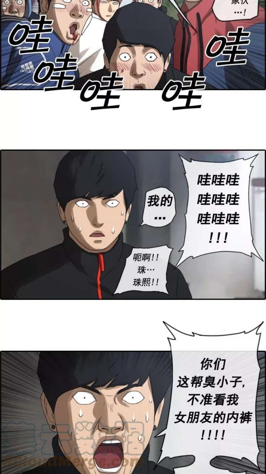 13.jpg