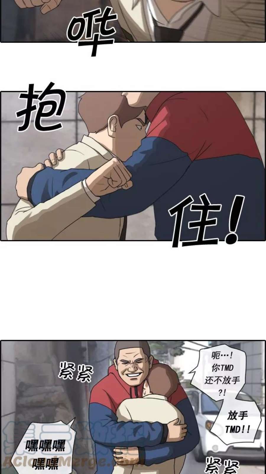 15.jpg