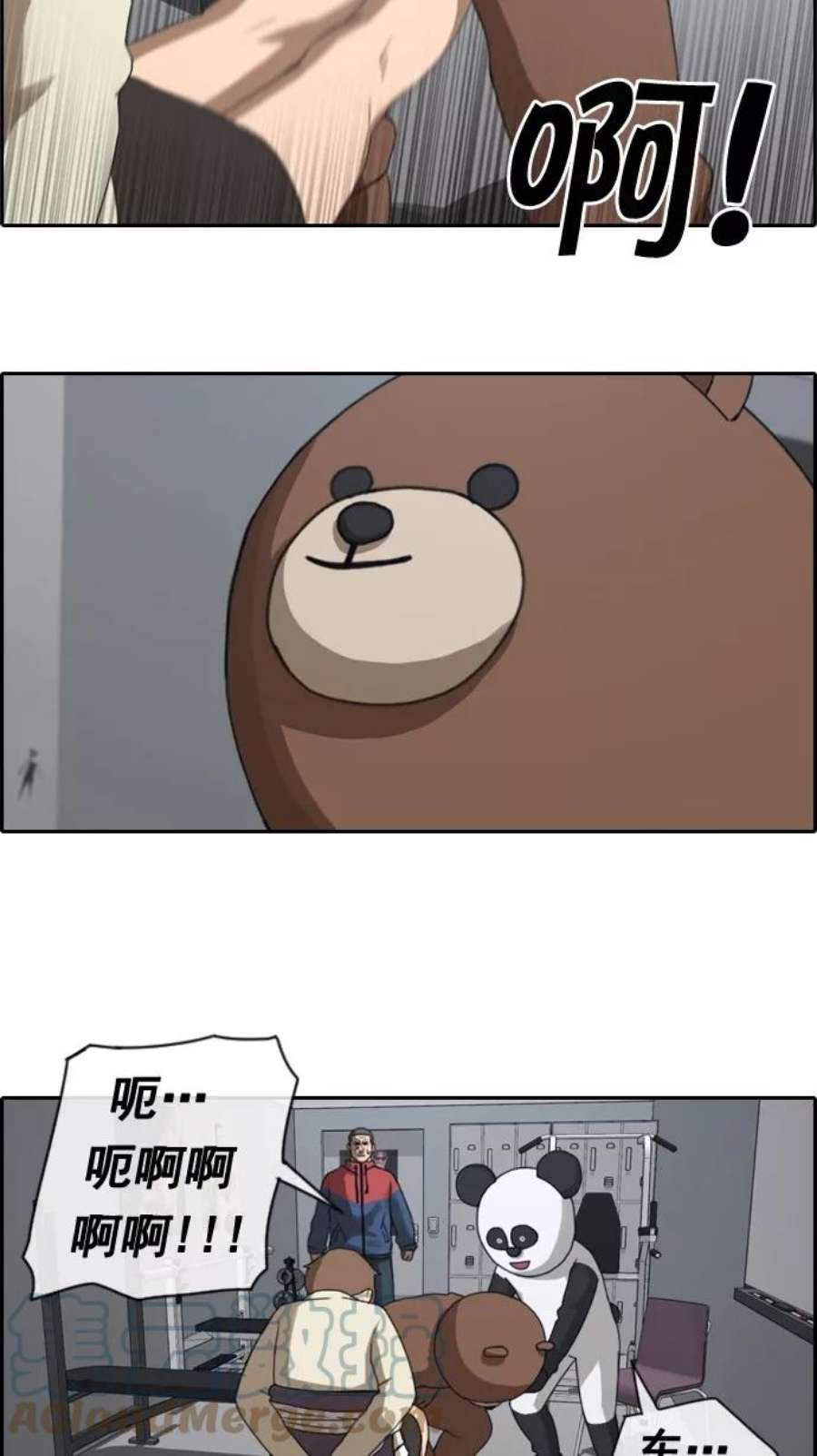 31.jpg
