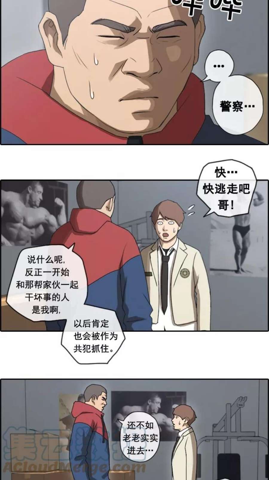 17.jpg