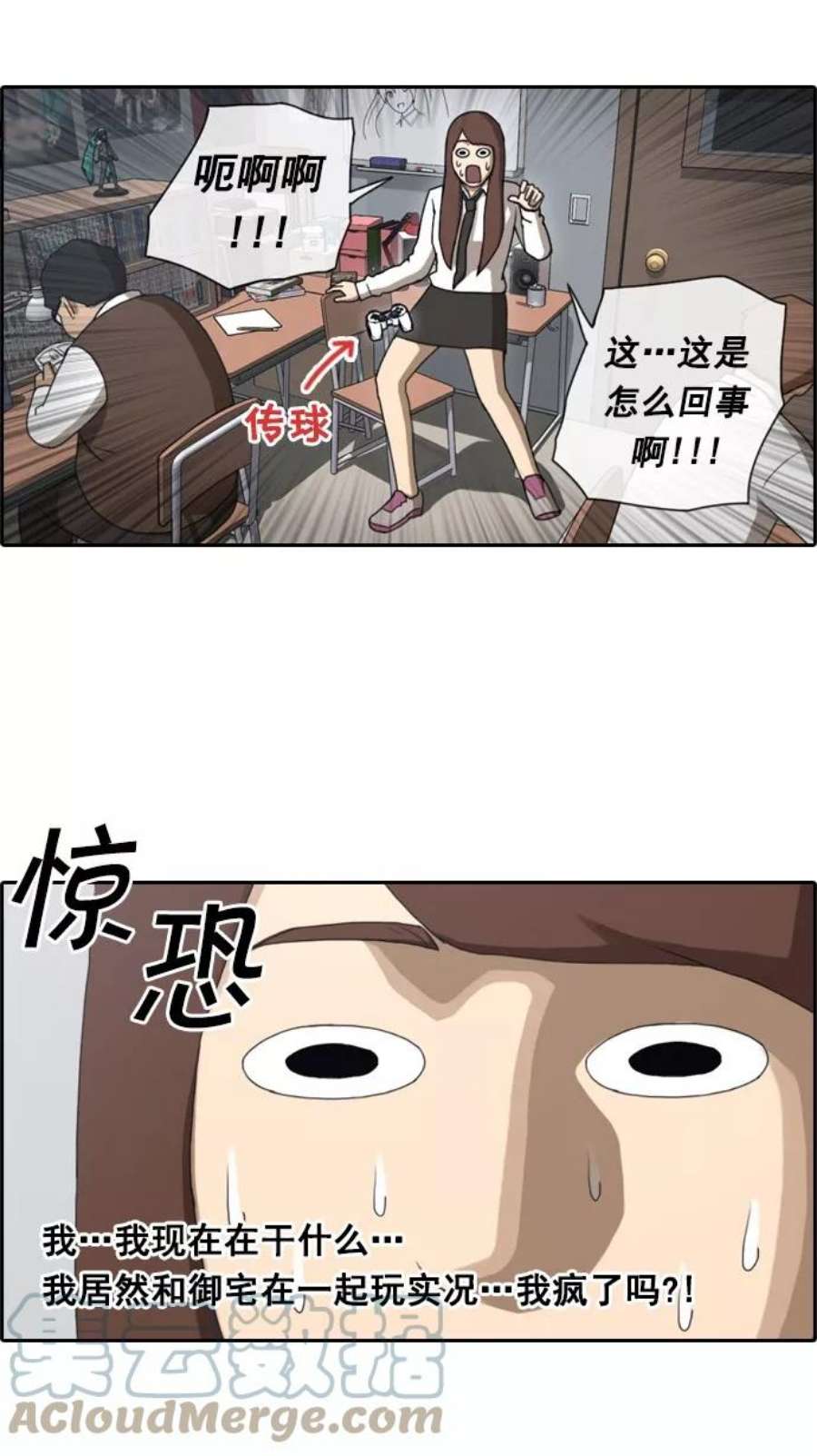 31.jpg