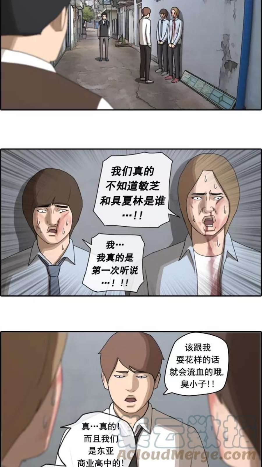 49.jpg