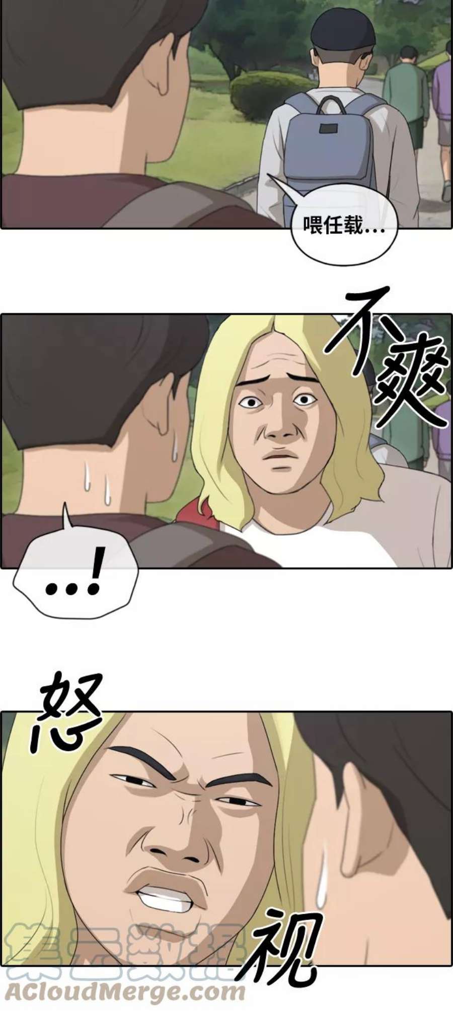 19.jpg