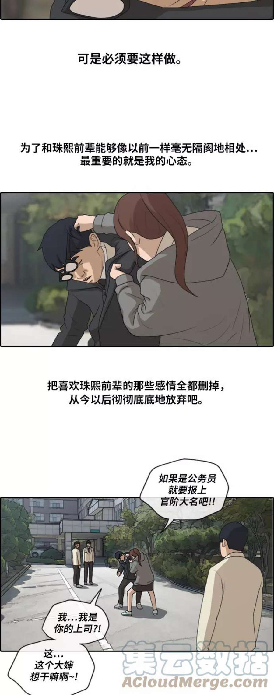 25.jpg