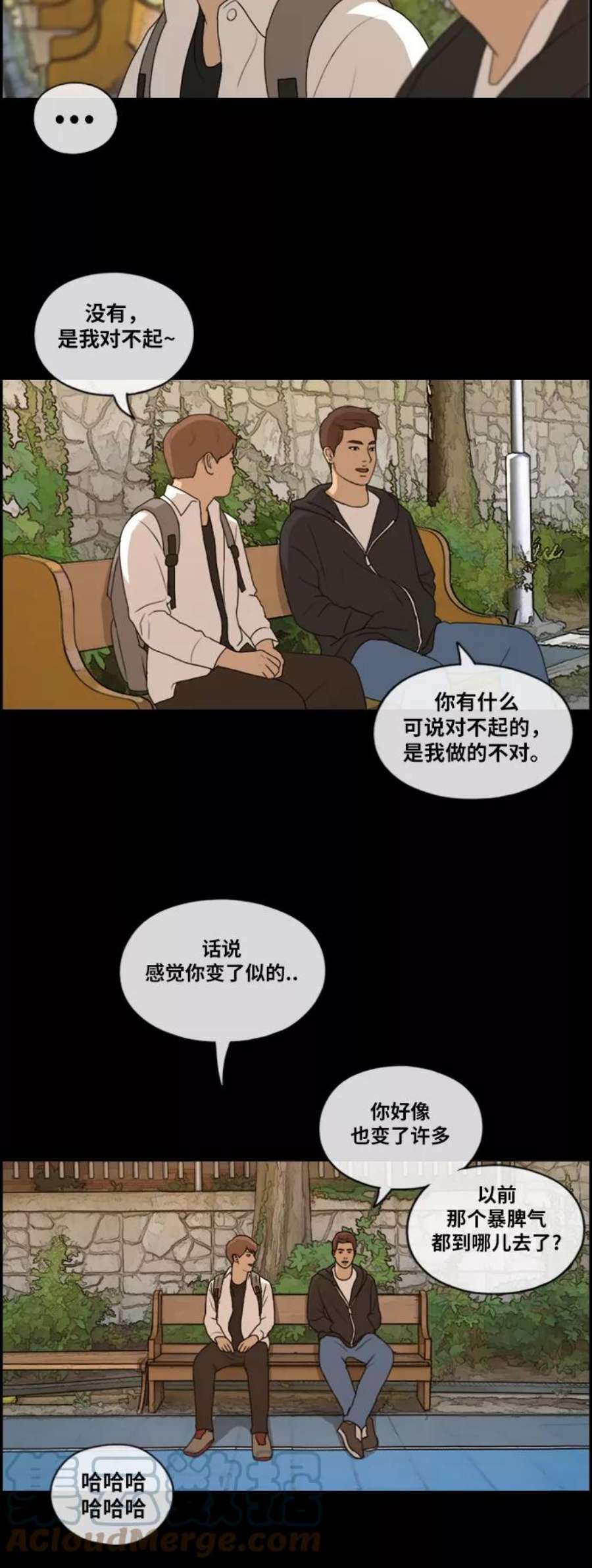 29.jpg