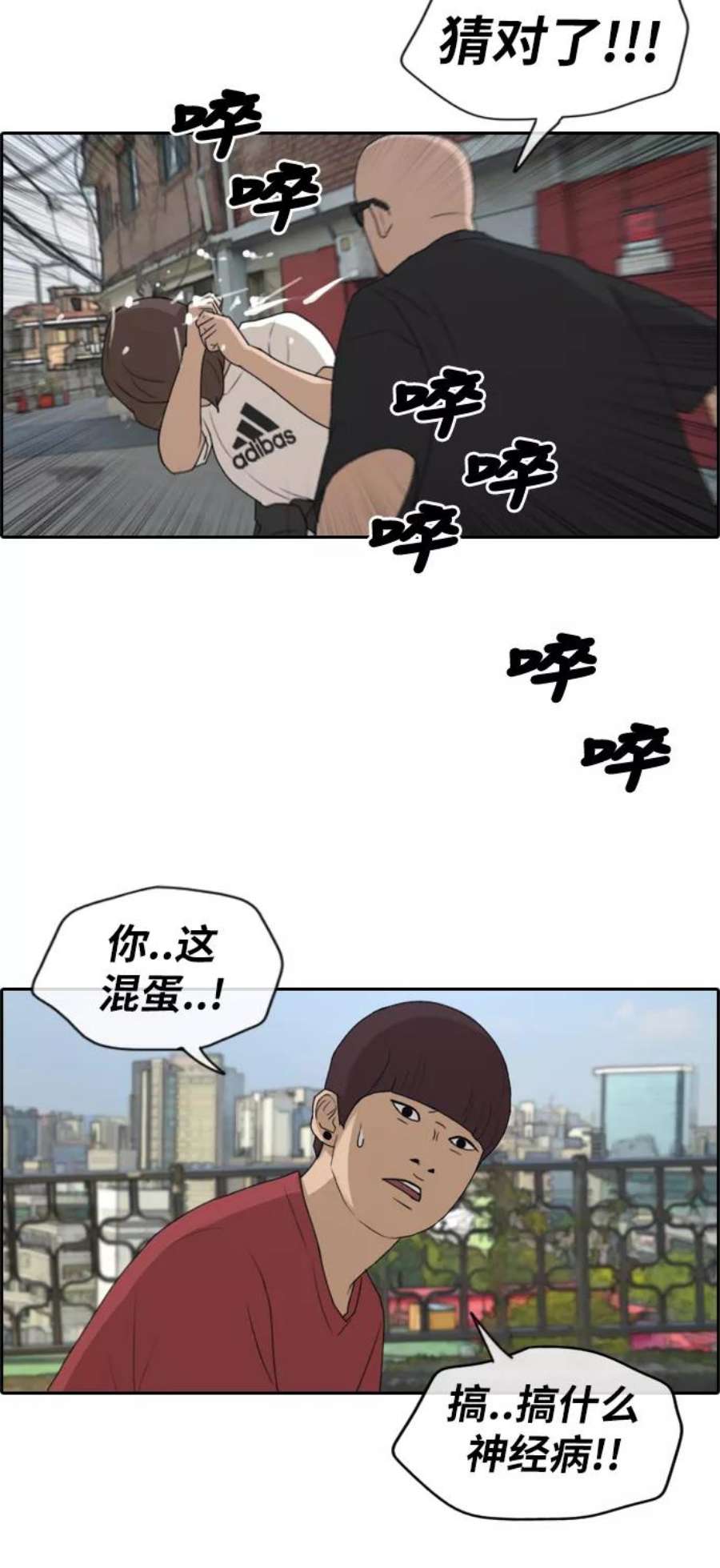 26.jpg