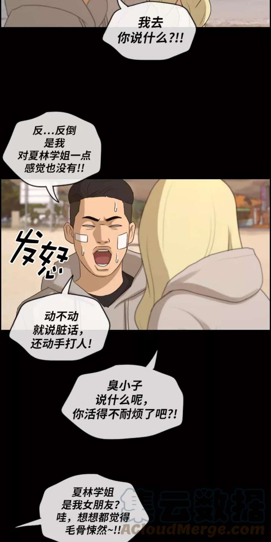 46.jpg
