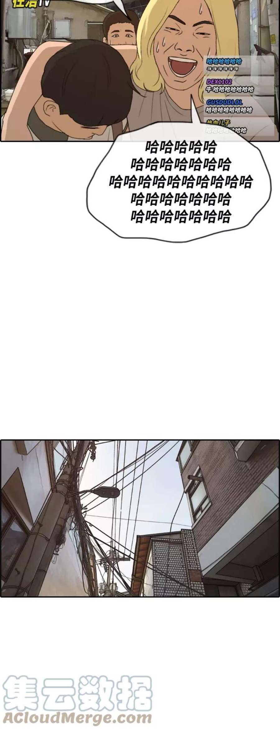 40.jpg