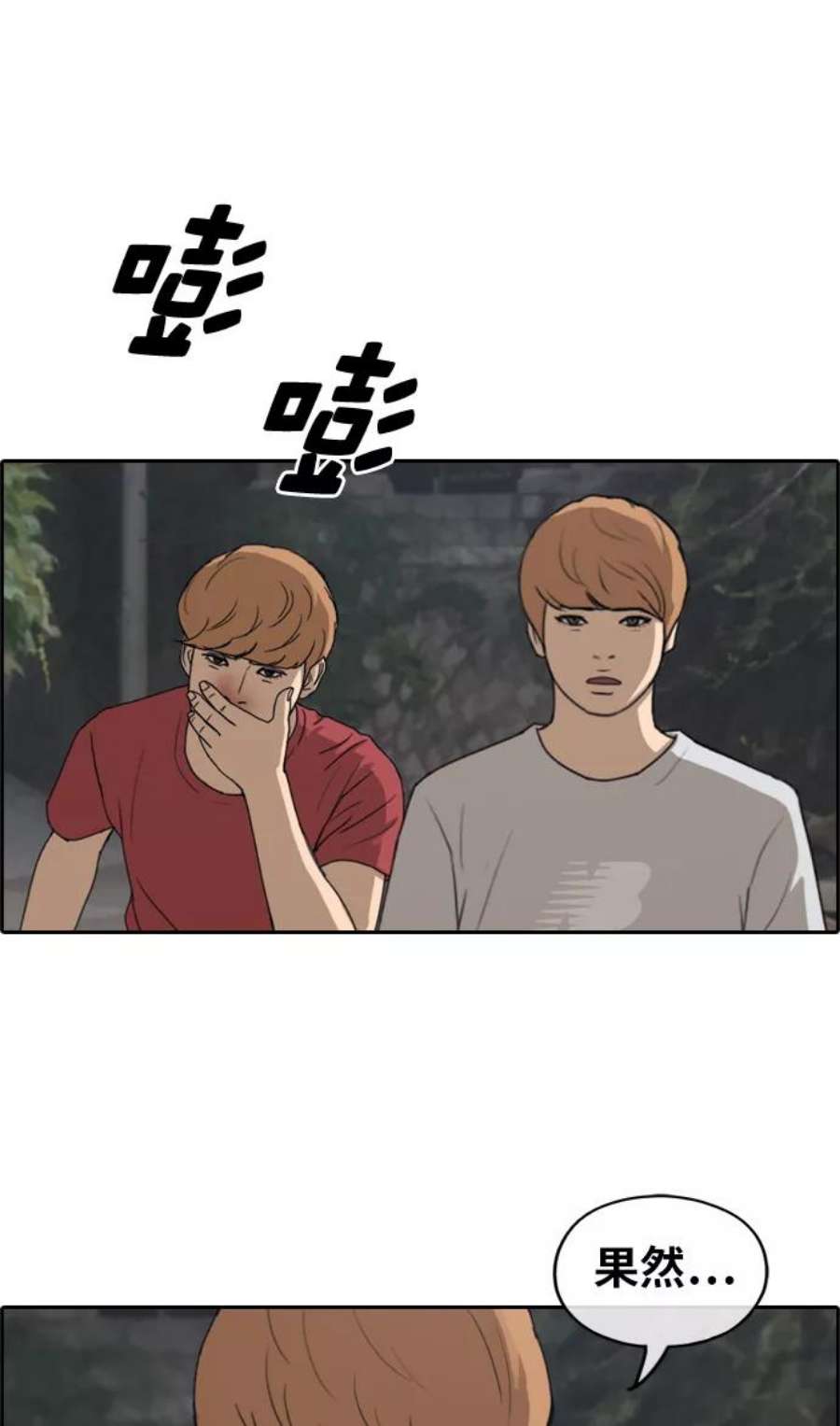 48.jpg