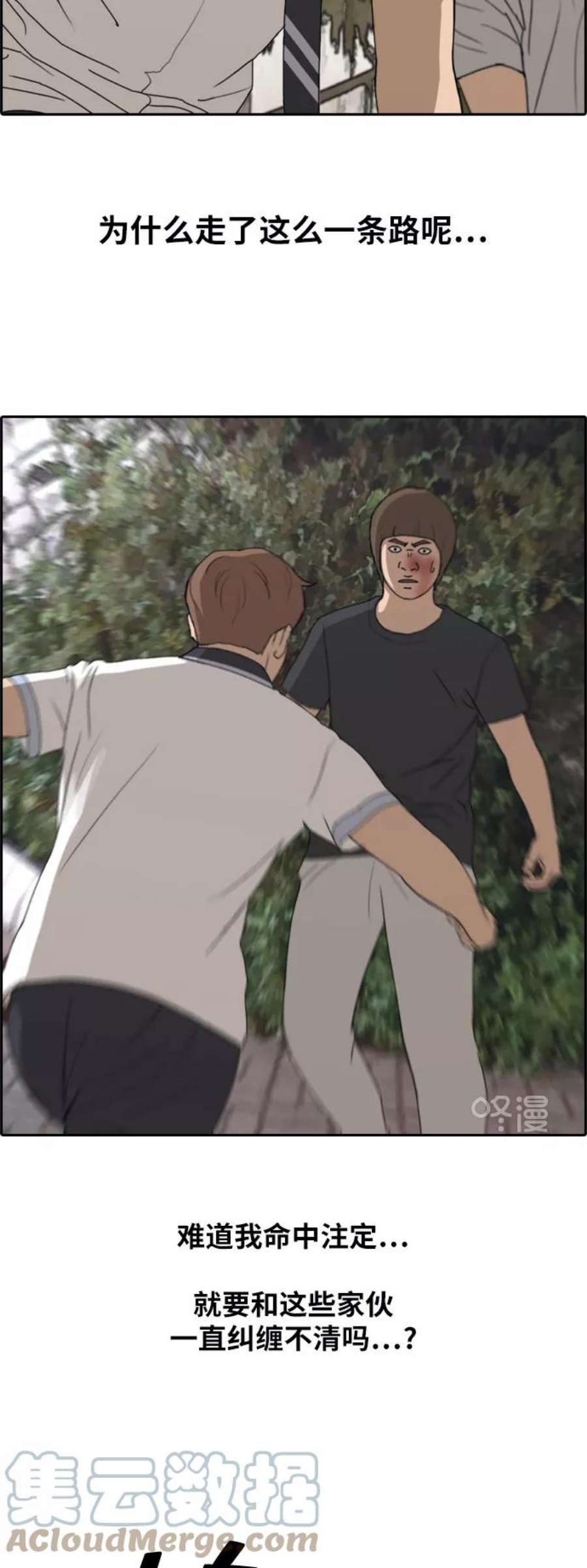 19.jpg
