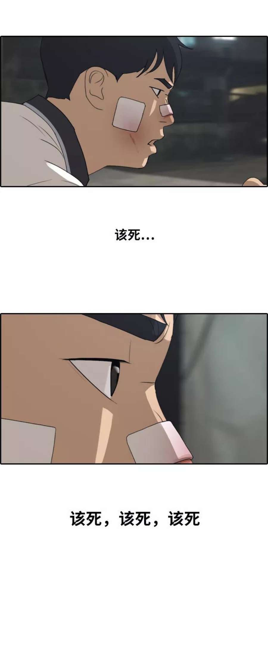 29.jpg