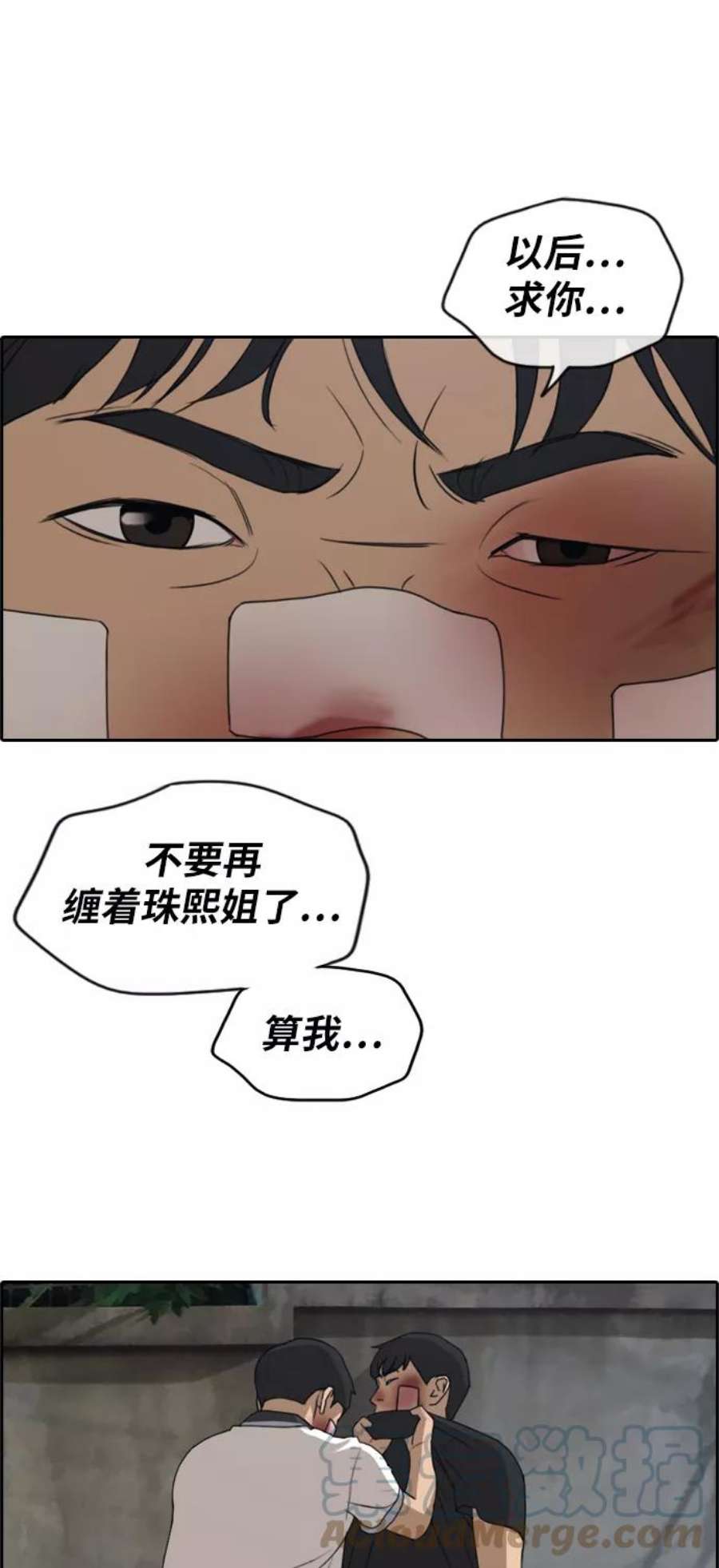25.jpg