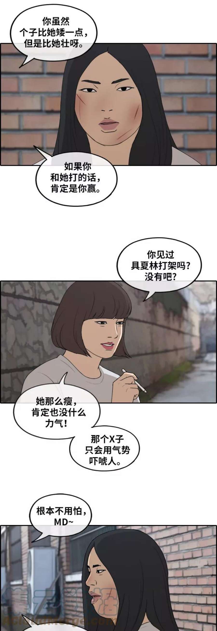 25.jpg