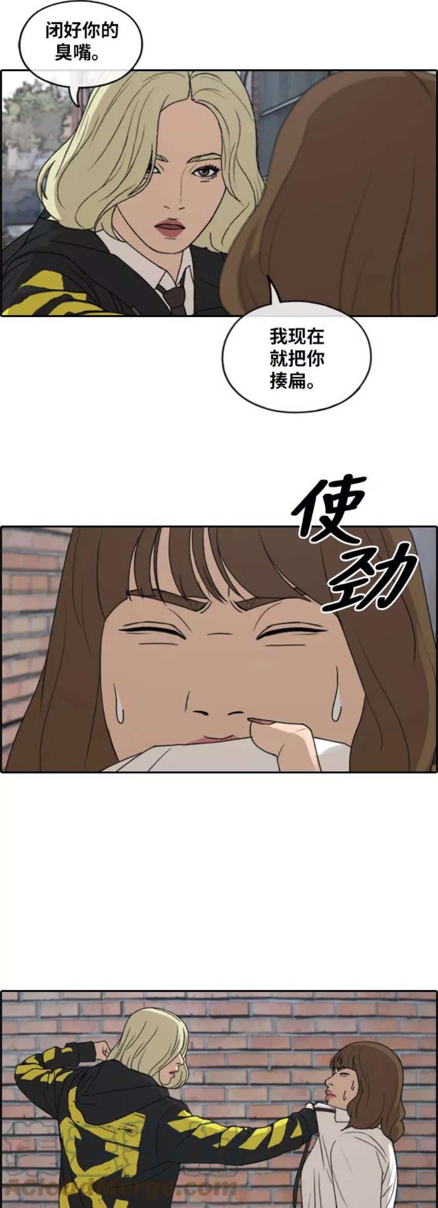15.jpg