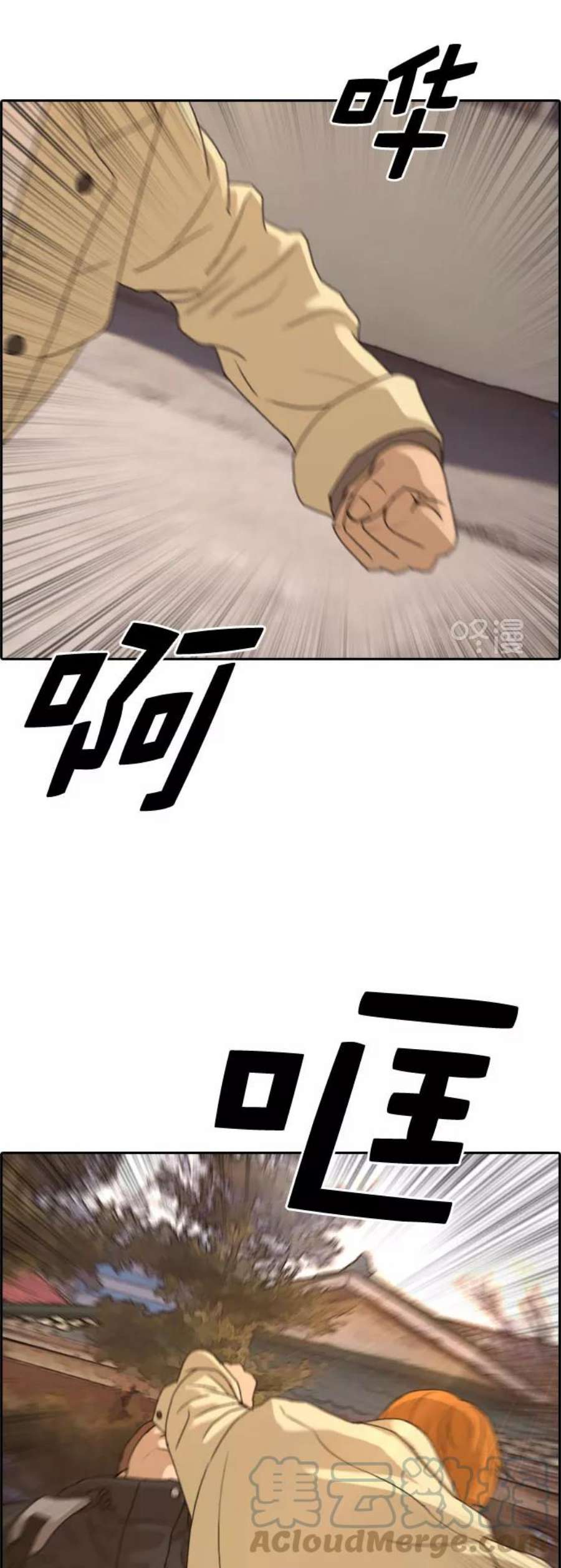 41.jpg