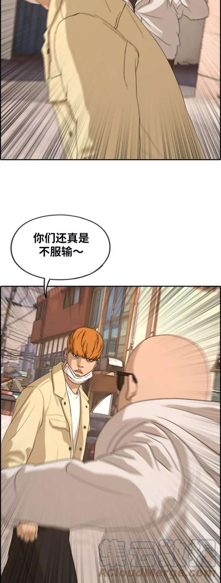 13.jpg