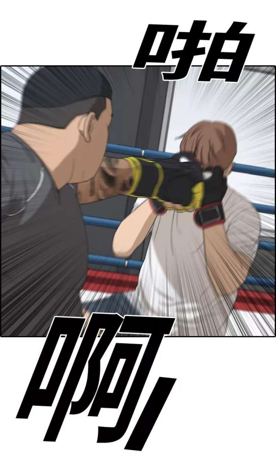 26.jpg