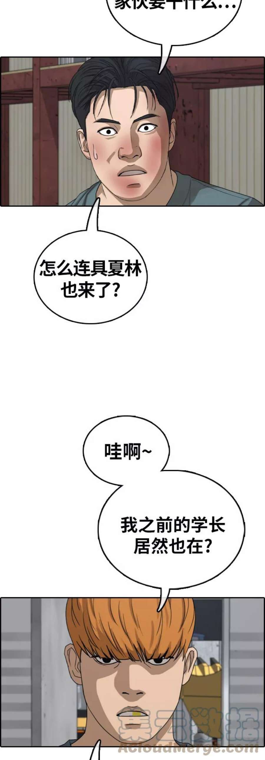 13.jpg