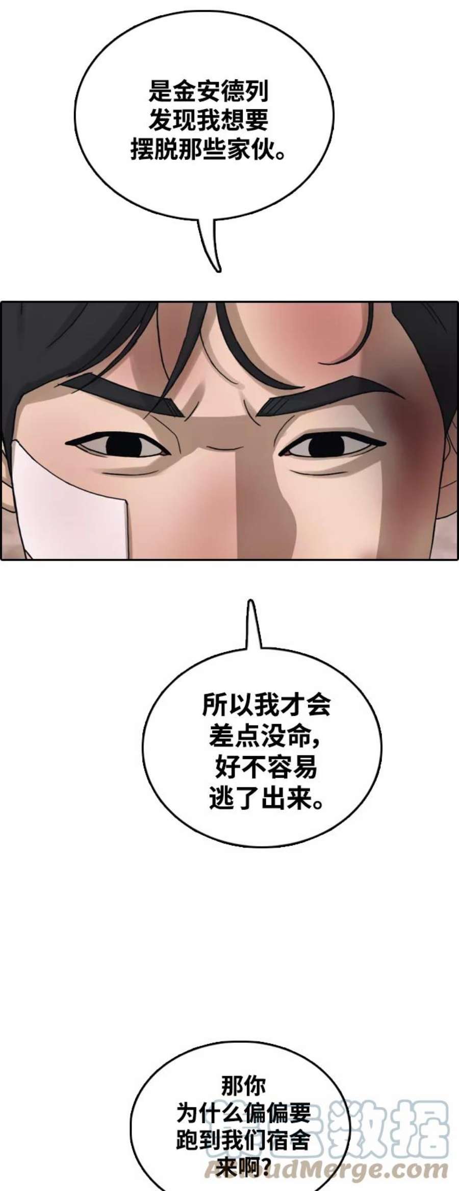 31.jpg
