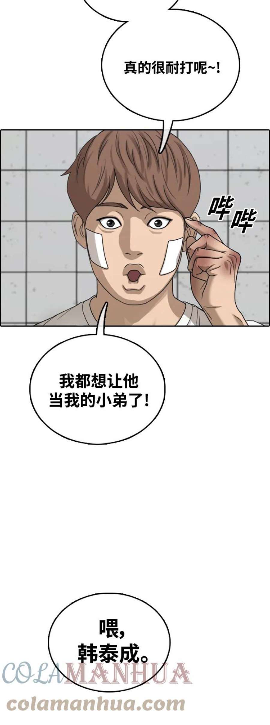 19.jpg