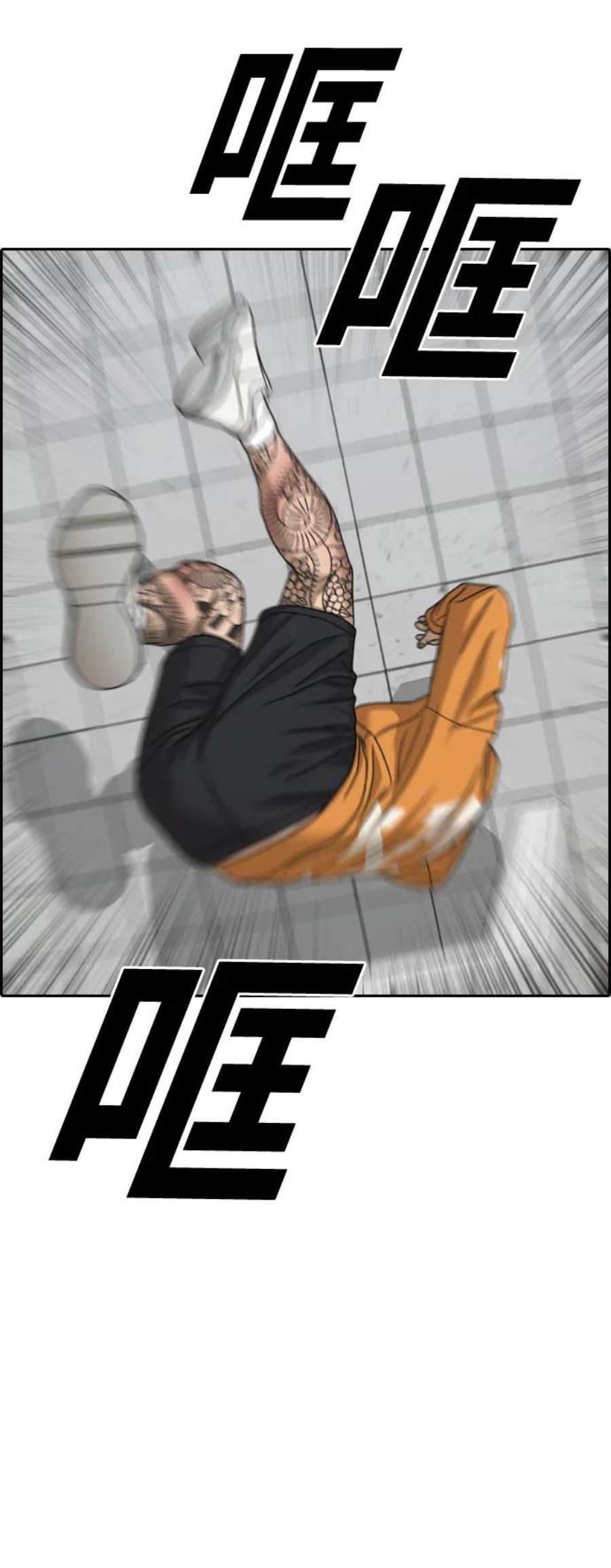 47.jpg