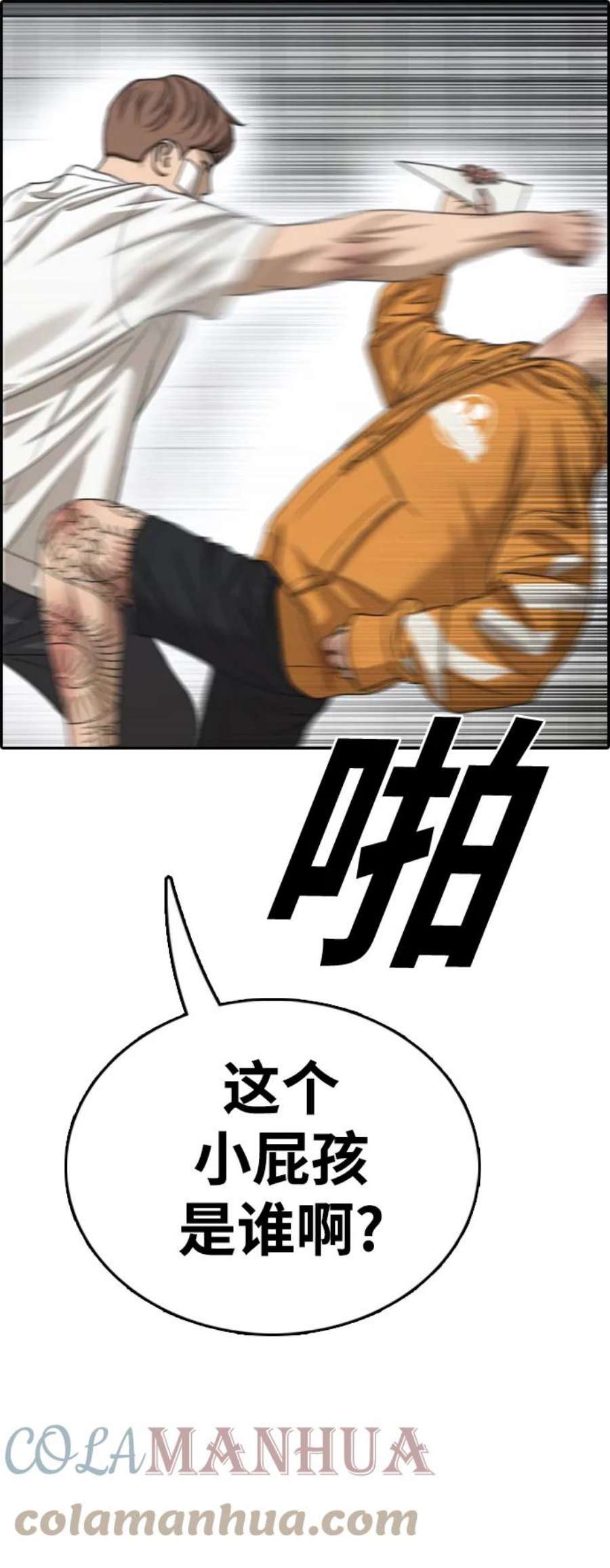 46.jpg