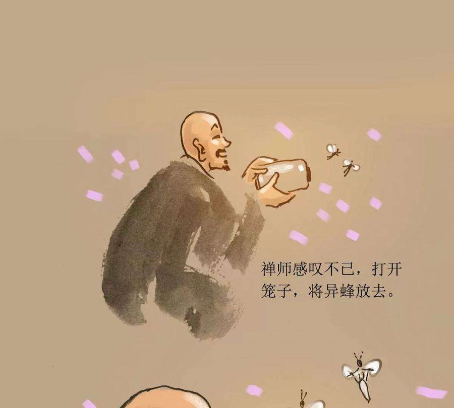 24.jpg