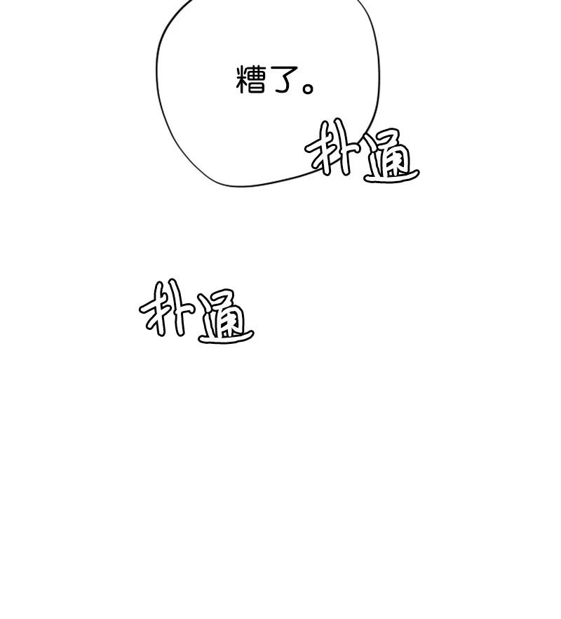 63.jpg