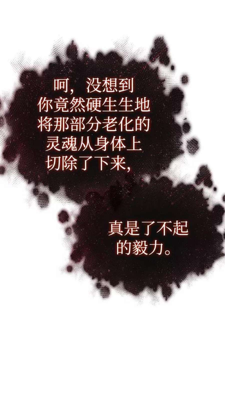 40.jpg
