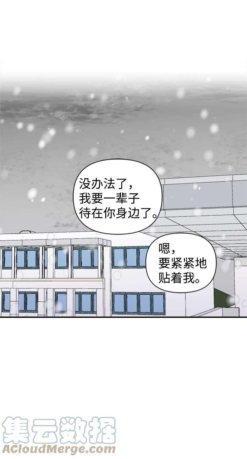 97.jpg
