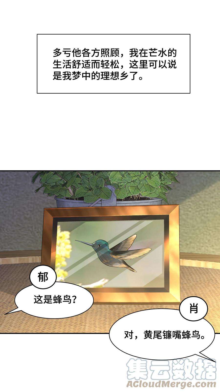 34.jpg