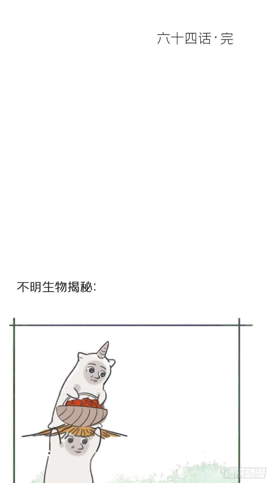 65.jpg