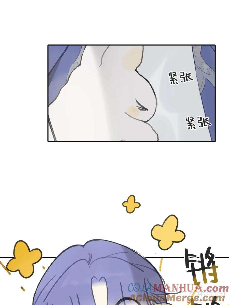 67.jpg