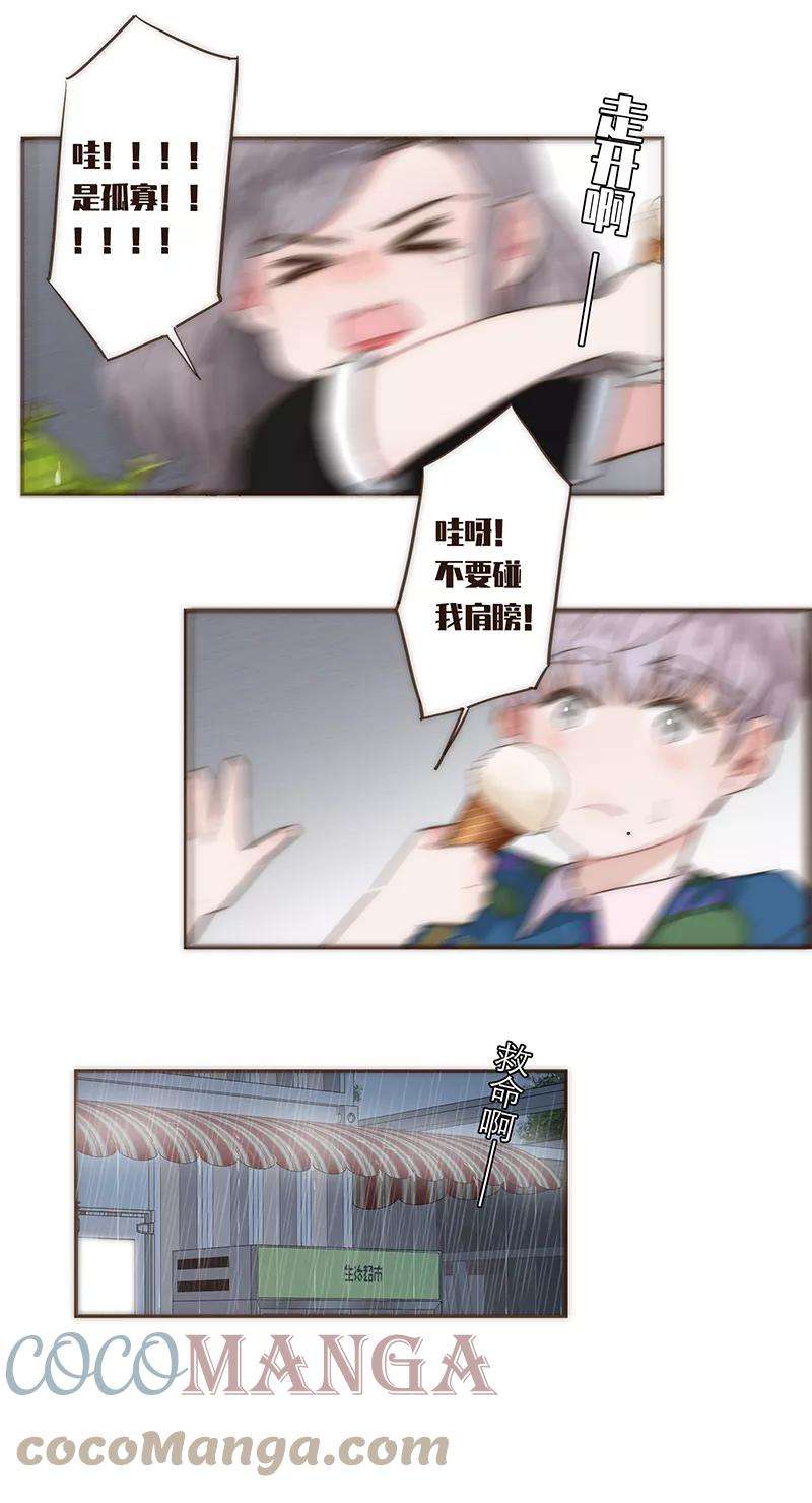 27.jpg