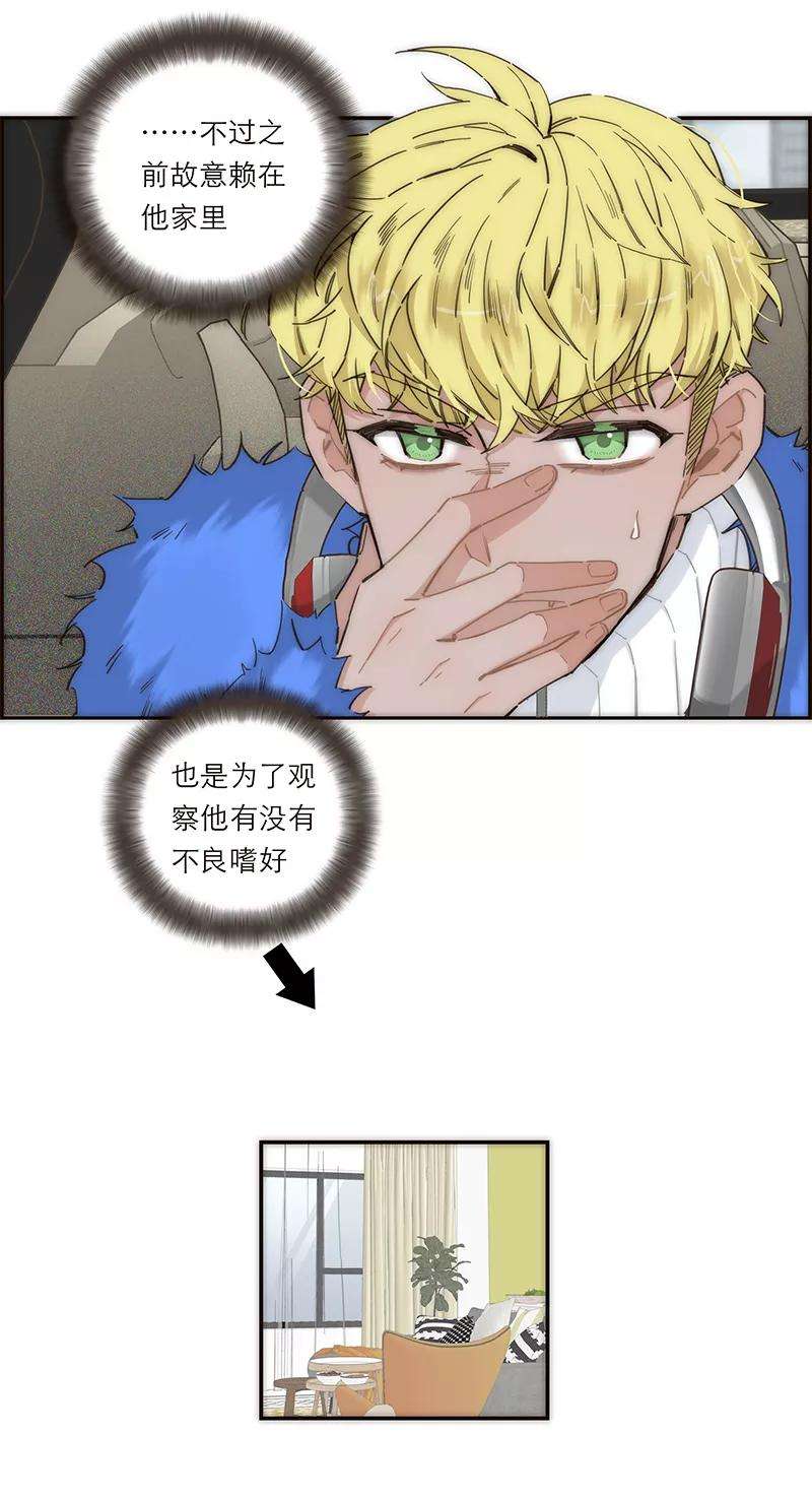 26.jpg