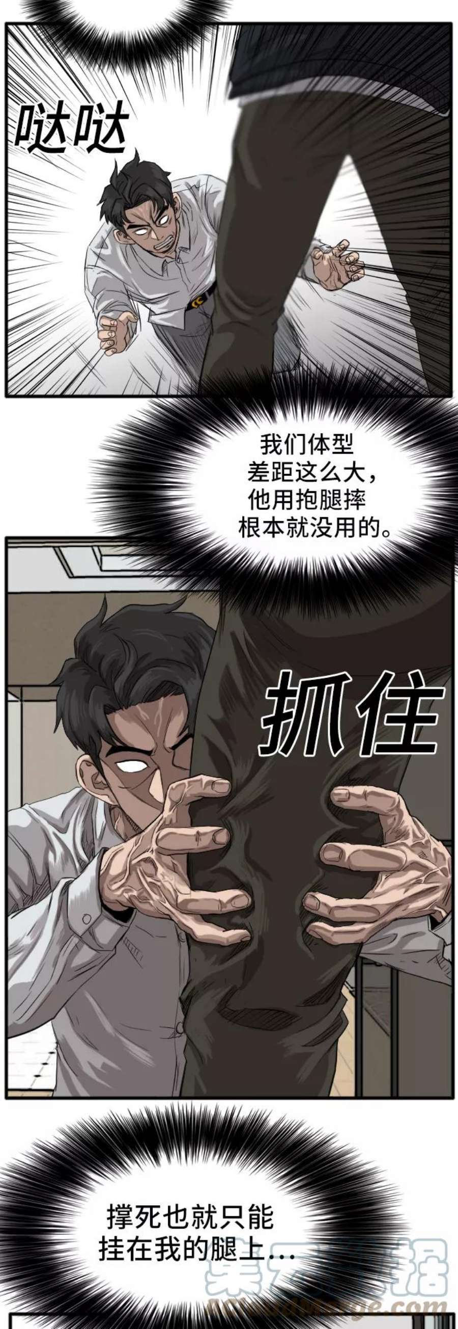 73.jpg