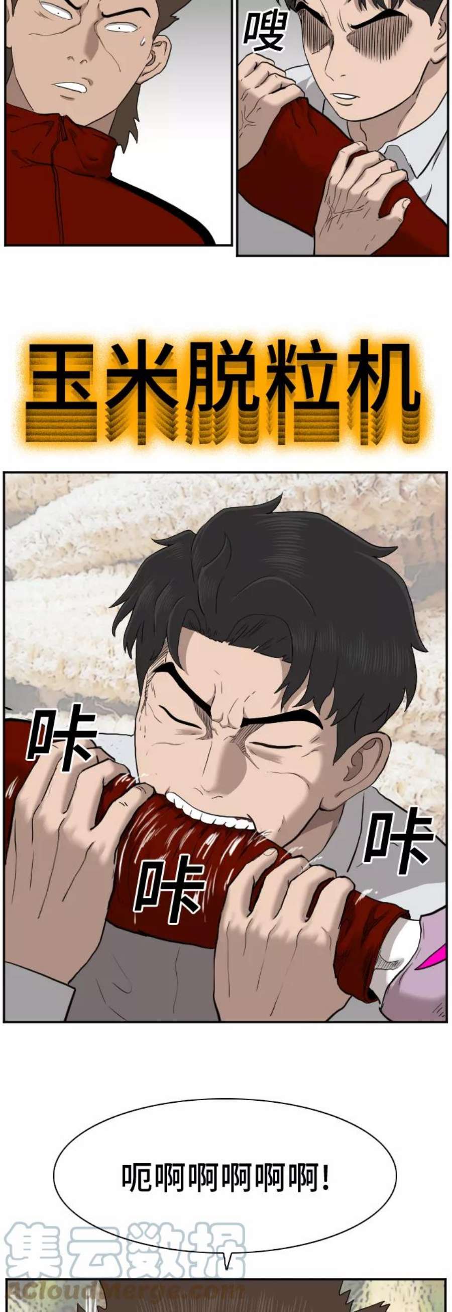 31.jpg