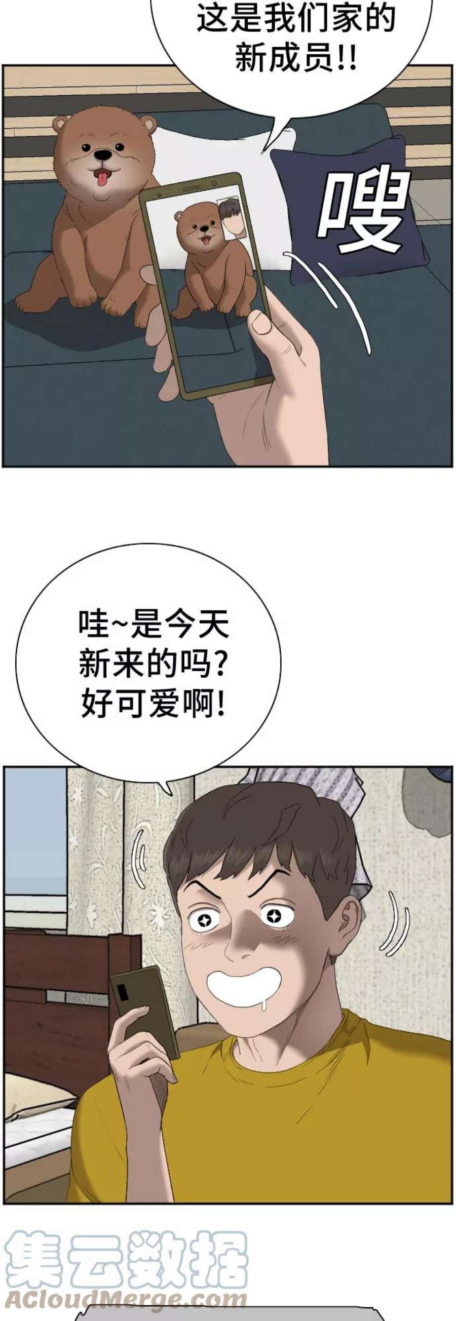 46.jpg