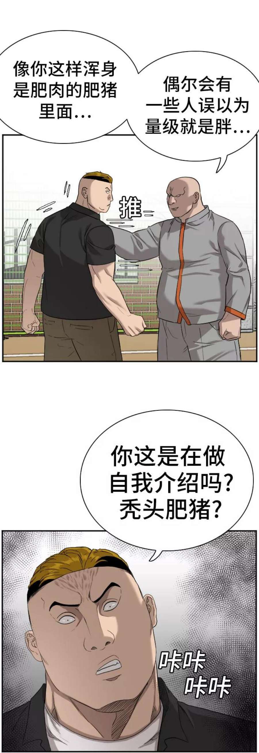 17.jpg