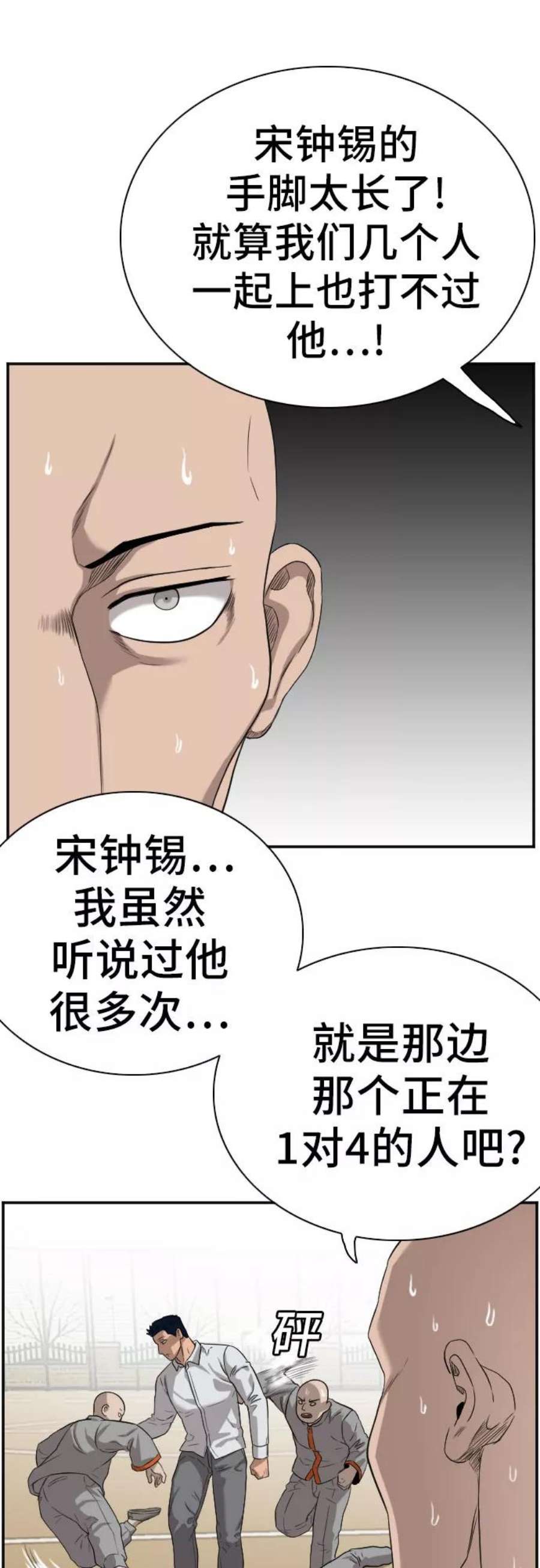 26.jpg